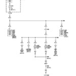 2001 Dodge Ram Tail Light Wiring Diagram YOUNGMUSICIANSOULS