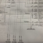 54 2006 Dodge Magnum Radio Wiring Harness Wiring Diagram Plan