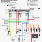 2004 Dodge Neon Wiring