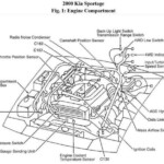 15 1999 Kia Sportage Engine Wiring Diagram Engine Diagram Wiringg