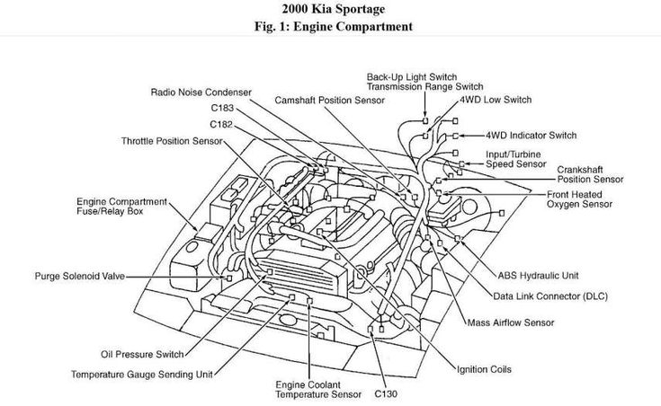 15 1999 Kia Sportage Engine Wiring Diagram Engine Diagram Wiringg 