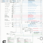 24 Valve Cummins Fuel Pump Wiring Diagram Free Wiring Diagram - 2003 Dodge RAM 2500 Diesel Fuel Pump Wiring Diagram