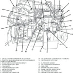 30 5 9 Cummins Fuel Line Diagram Wiring Diagram Info - 2001 Dodge RAM 5.9l Cummins Starter Wiring Diagram