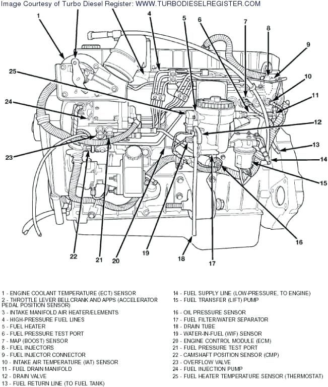 30 5 9 Cummins Fuel Line Diagram Wiring Diagram Info - 2001 Dodge RAM 5.9l Cummins Starter Wiring Diagram