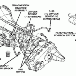 I Have A Dodge Durango 2000 I Get A Computer Code For The Neutral  - 2000 Dodge RAM Alternator Wiring Diagram