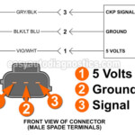 Part 1 How To Test The Crankshaft Position Sensor 1997 1999 V8 Dakota