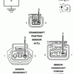 Schematic For 2002 Dodge Durango 4 7 Engine Complete Wiring Schemas - 2005 Dodge RAM 5.7 O2 Sensor Wiring Diagram
