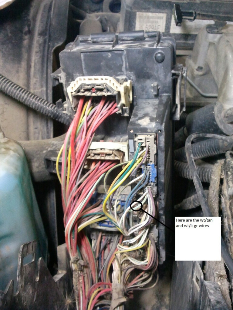 Wiring Diagram For Headlights On A Dodge Journey 2011 From The Tipm - 2000 Dodge RAM Headlight Switch Wiring Diagram